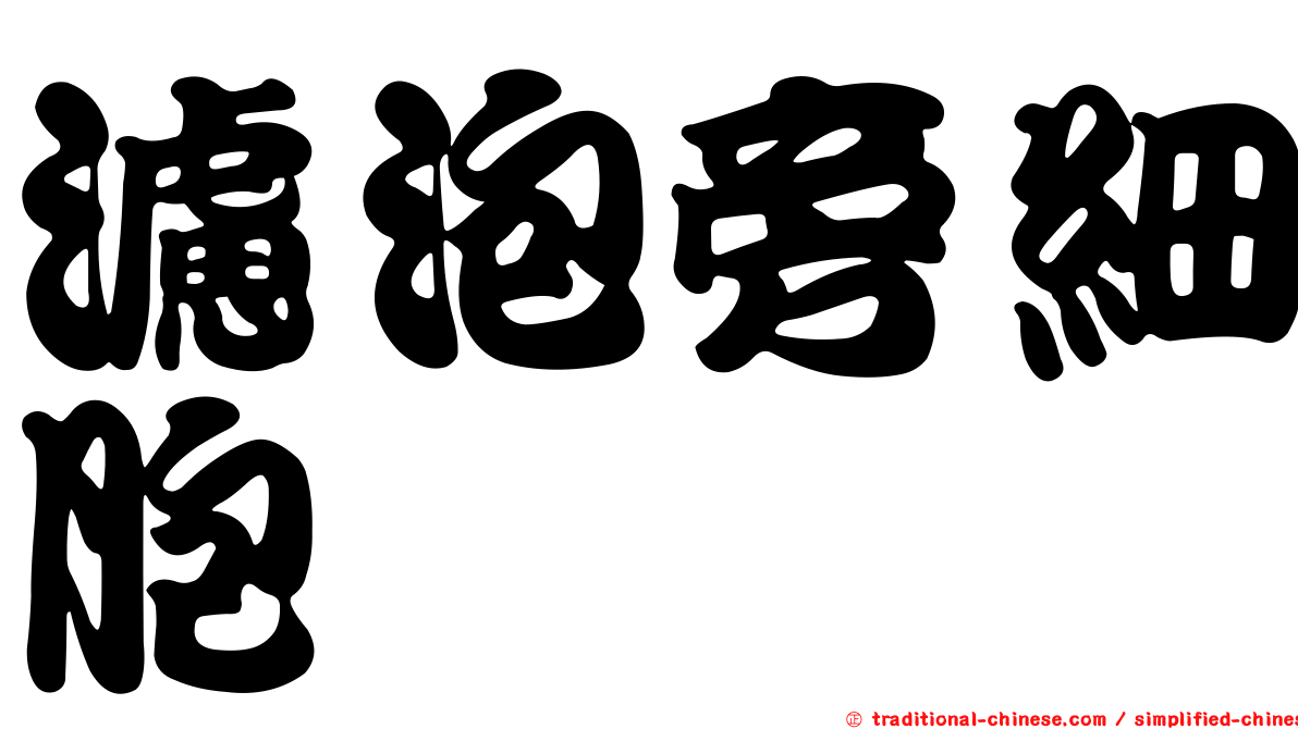 濾泡旁細胞