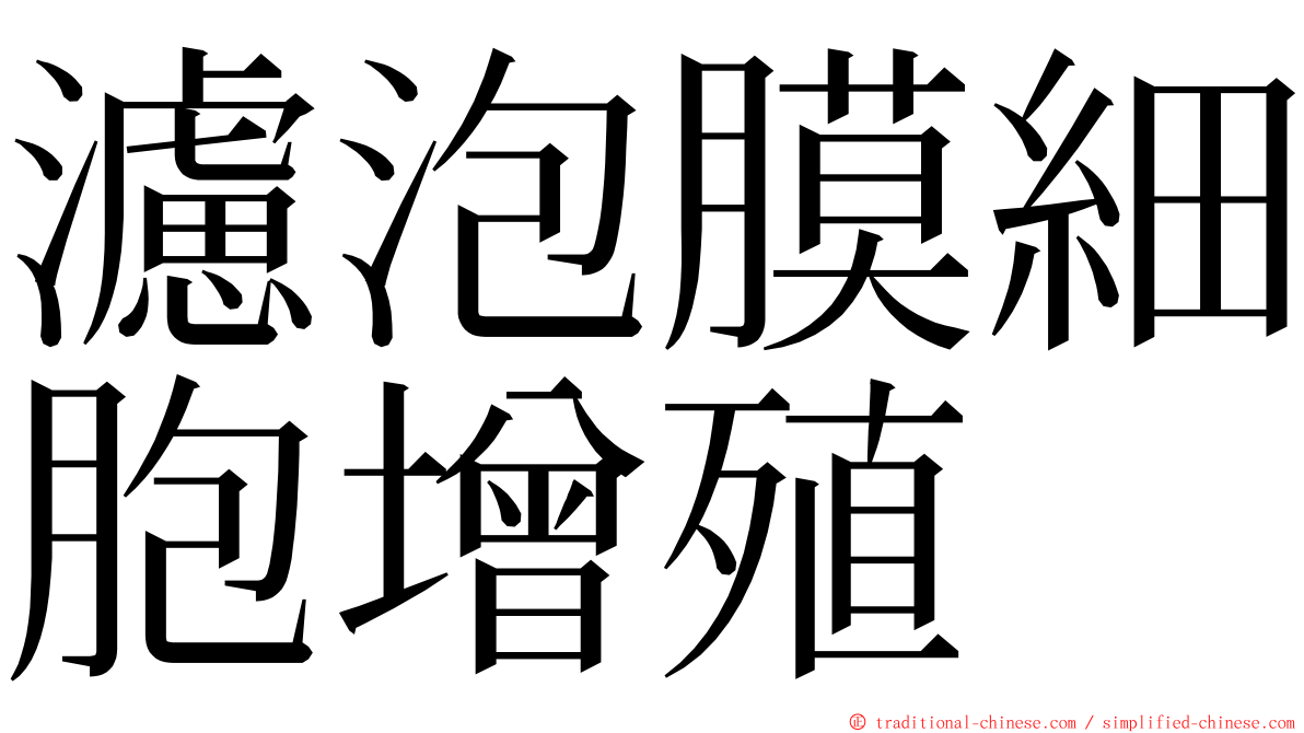 濾泡膜細胞增殖 ming font