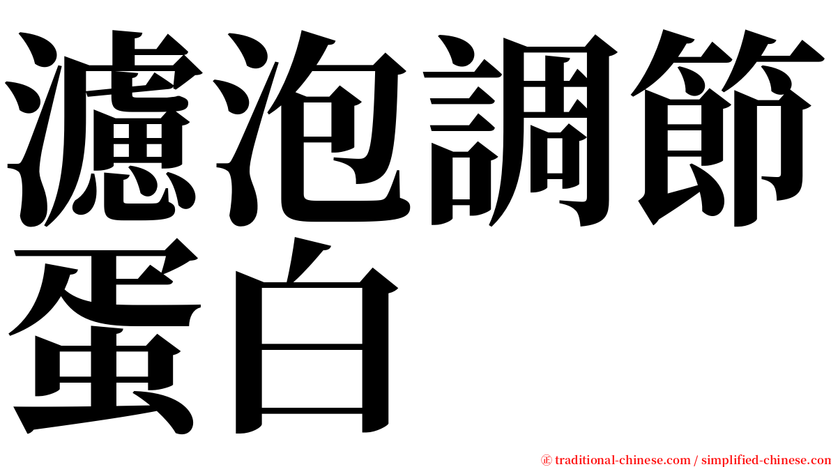 濾泡調節蛋白 serif font