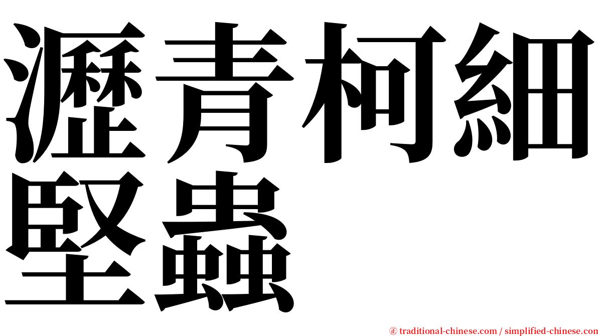 瀝青柯細堅蟲 serif font