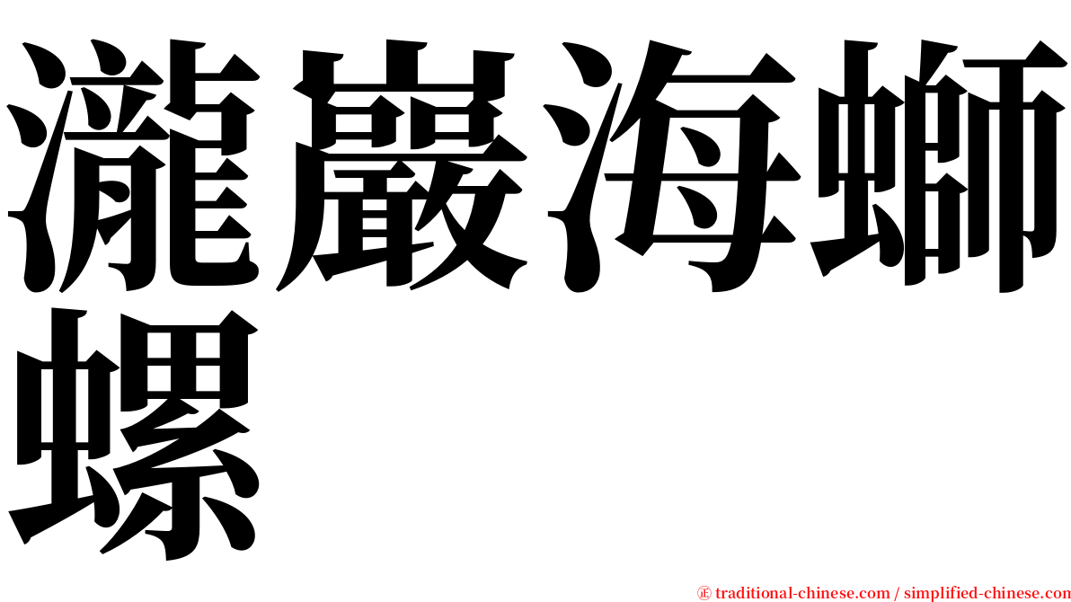 瀧巖海螄螺 serif font