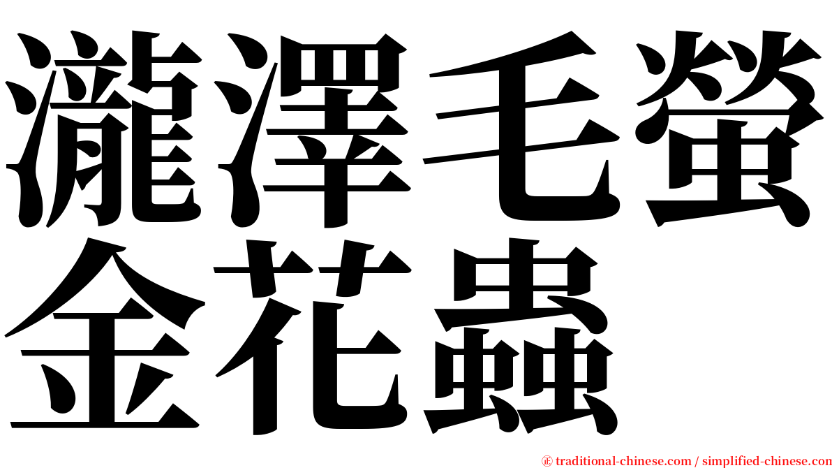 瀧澤毛螢金花蟲 serif font