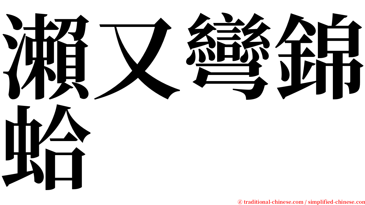 瀨又彎錦蛤 serif font