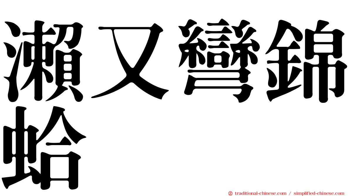 瀨又彎錦蛤