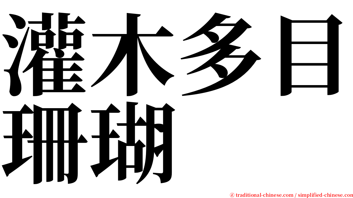 灌木多目珊瑚 serif font