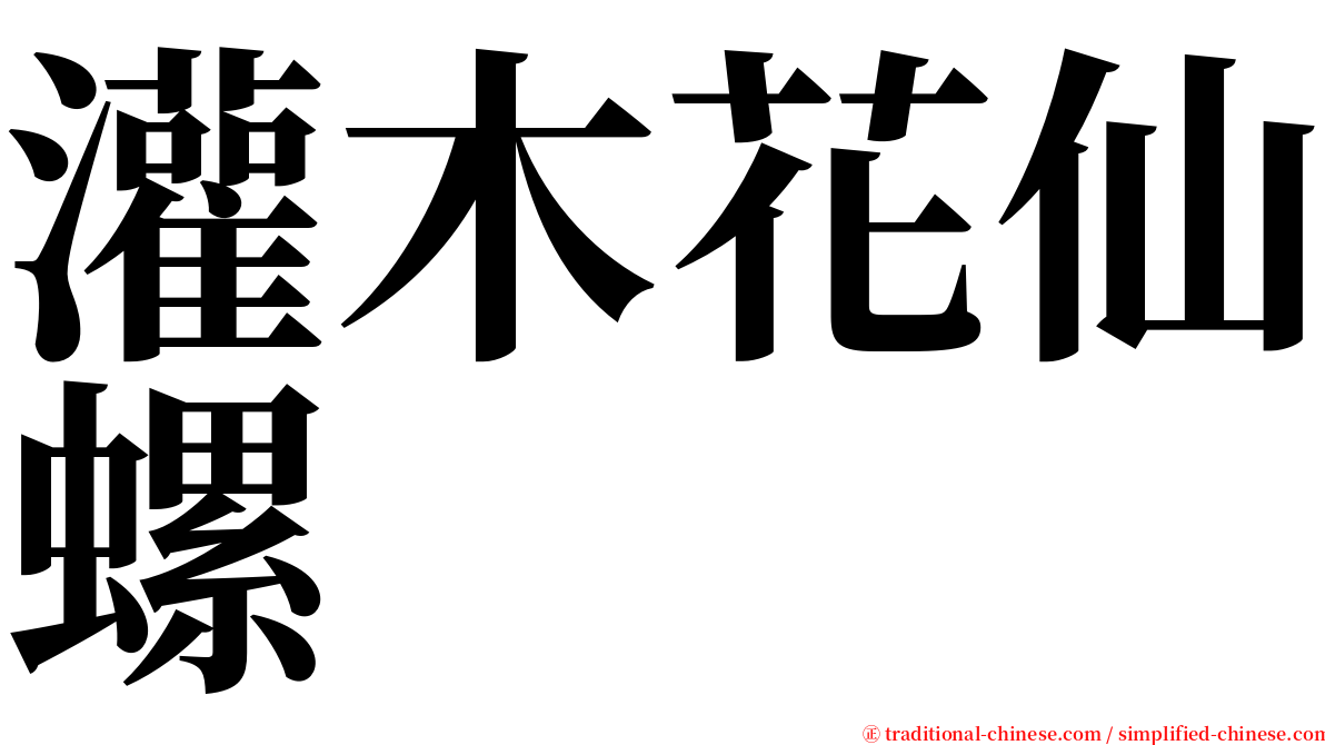 灌木花仙螺 serif font