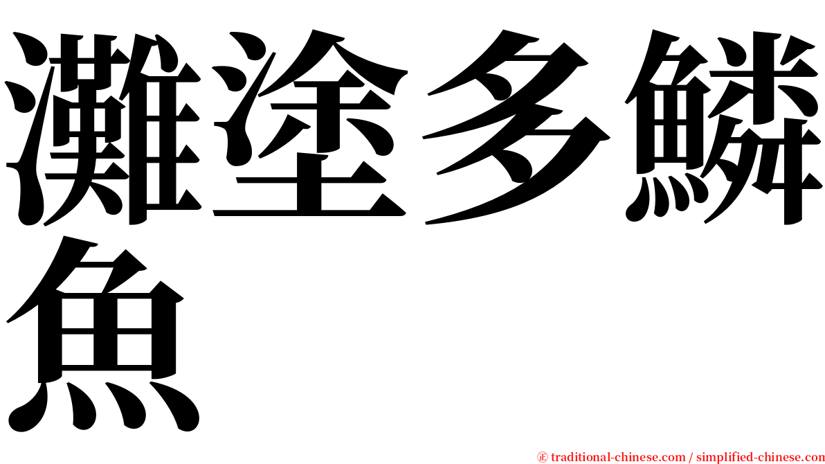 灘塗多鱗魚 serif font