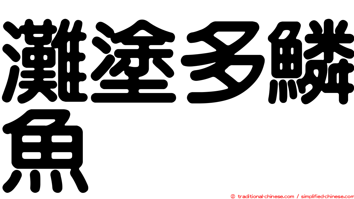 灘塗多鱗魚