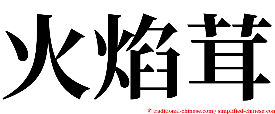 火焰茸 serif font