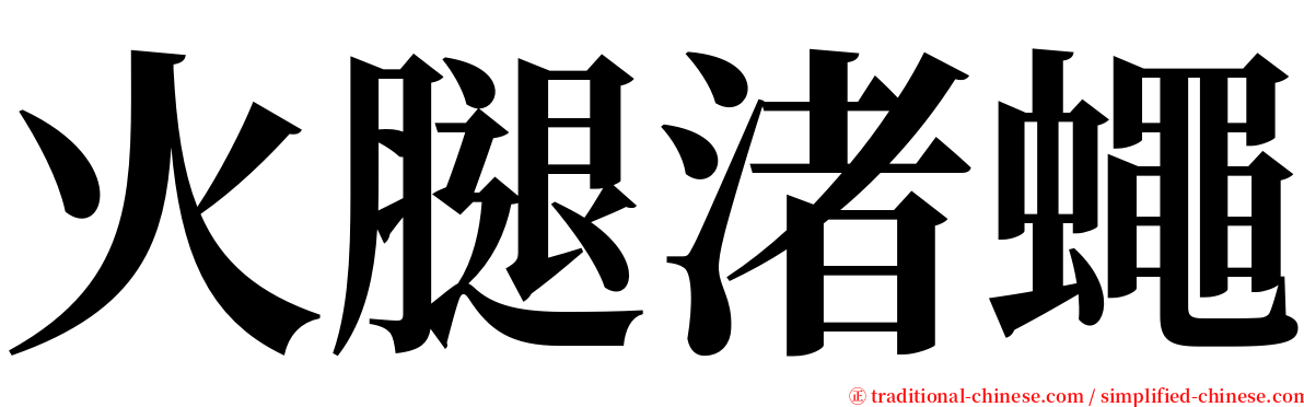 火腿渚蠅 serif font