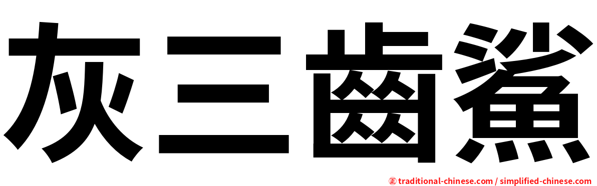 灰三齒鯊