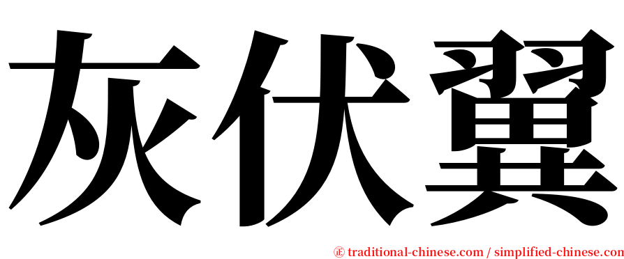 灰伏翼 serif font