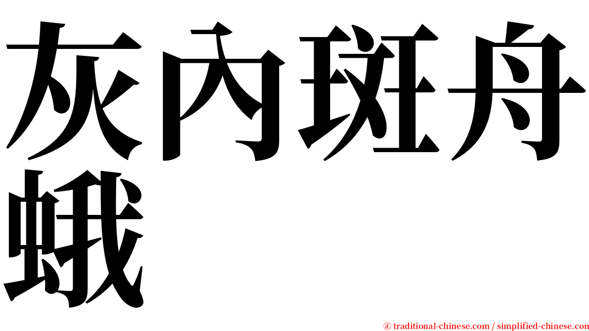 灰內斑舟蛾 serif font