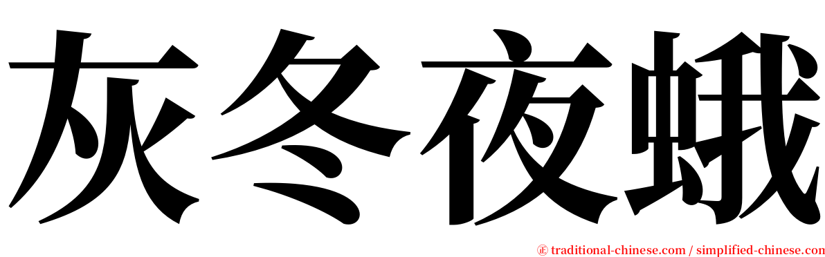 灰冬夜蛾 serif font