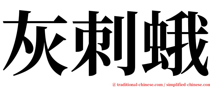 灰刺蛾 serif font