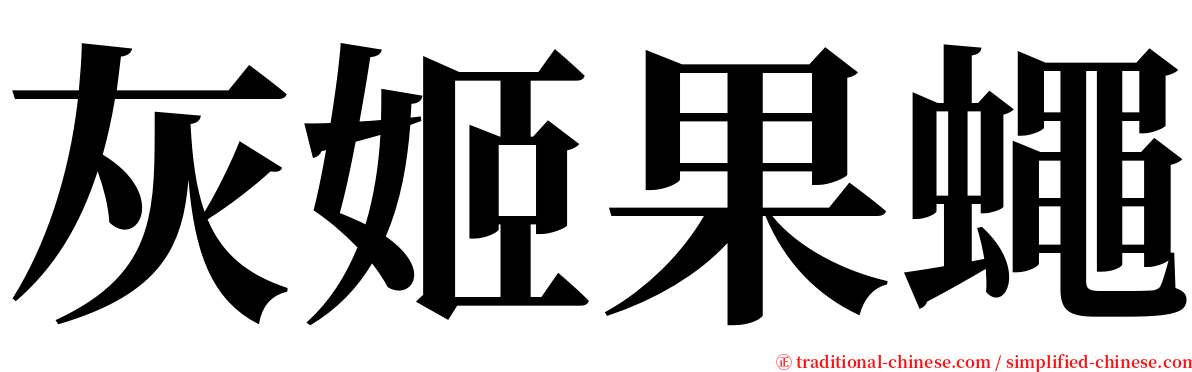 灰姬果蠅 serif font