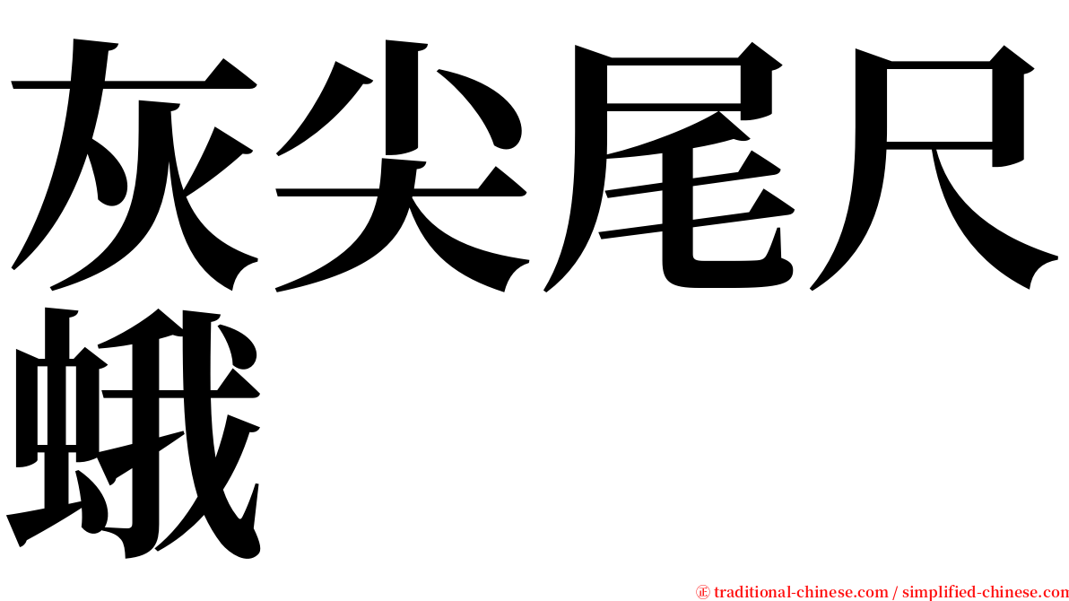 灰尖尾尺蛾 serif font