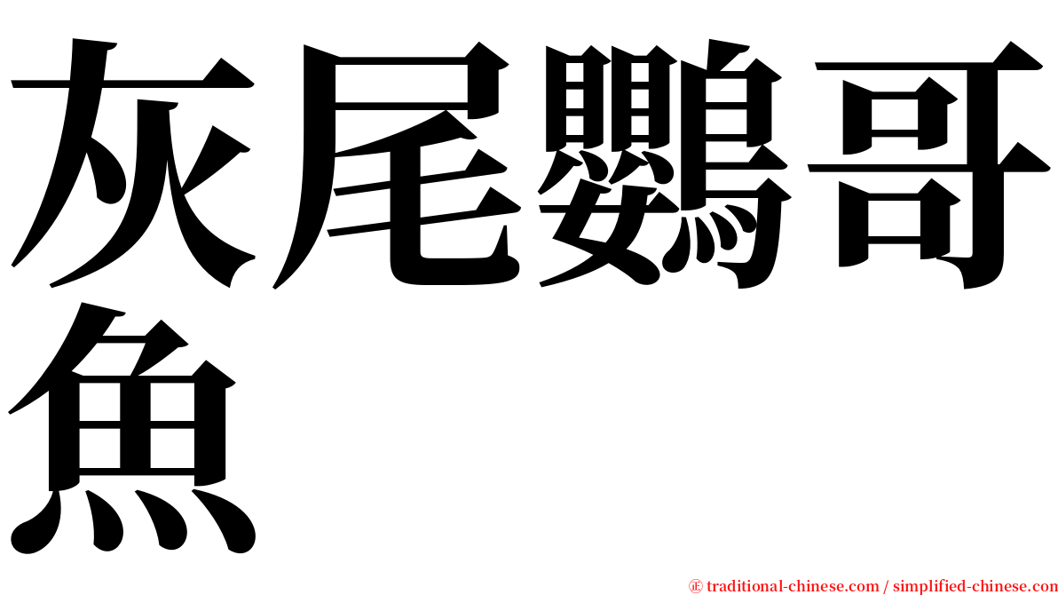 灰尾鸚哥魚 serif font