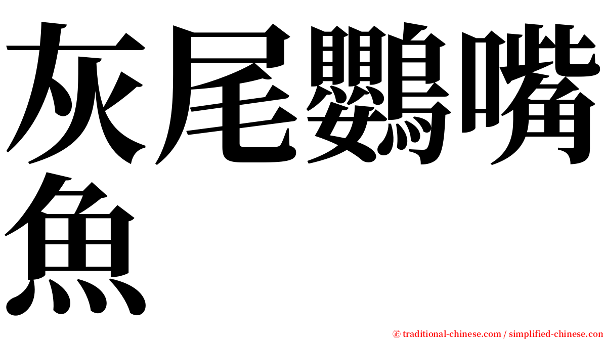 灰尾鸚嘴魚 serif font