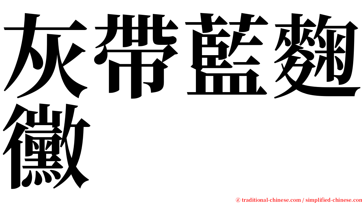 灰帶藍麴黴 serif font