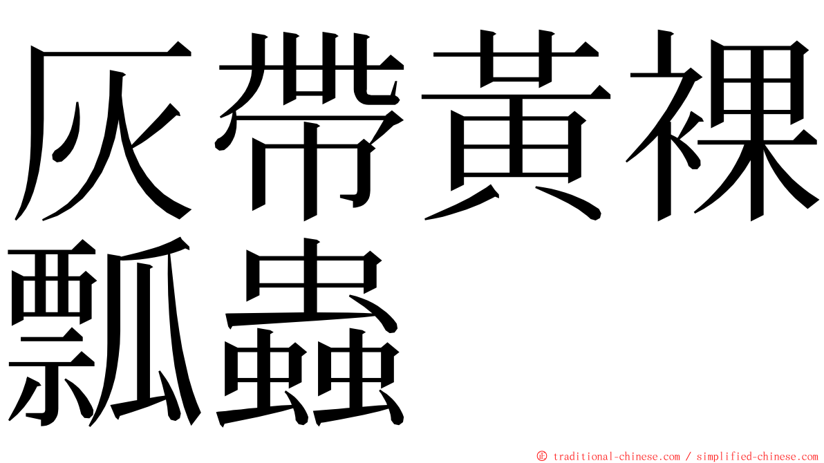 灰帶黃裸瓢蟲 ming font