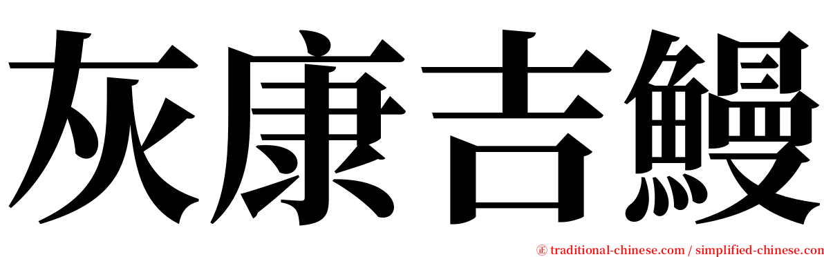 灰康吉鰻 serif font