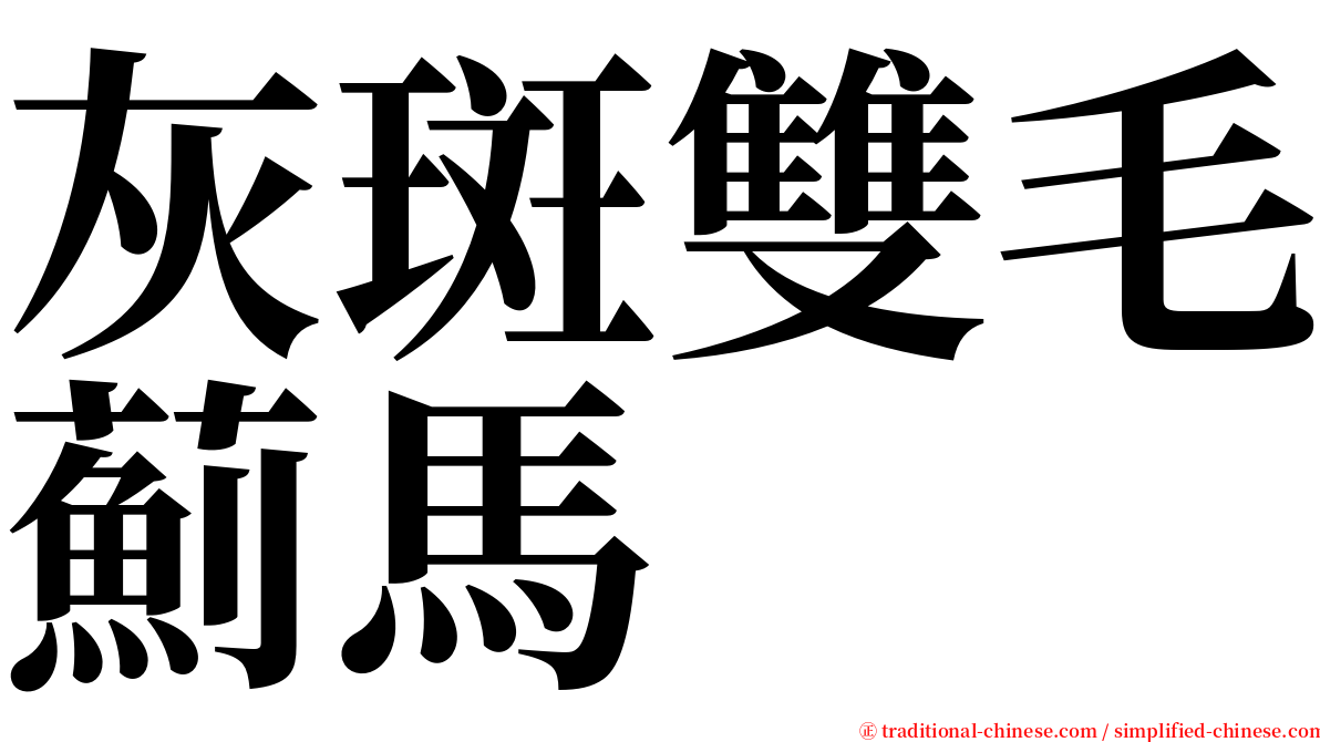 灰斑雙毛薊馬 serif font