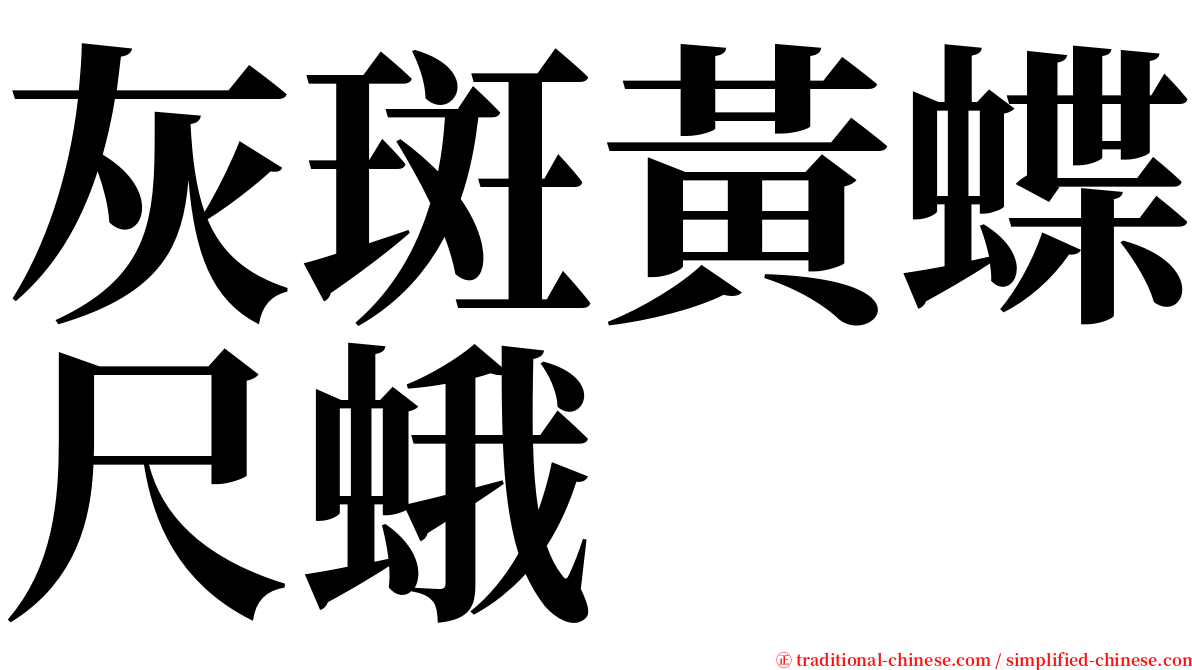 灰斑黃蝶尺蛾 serif font