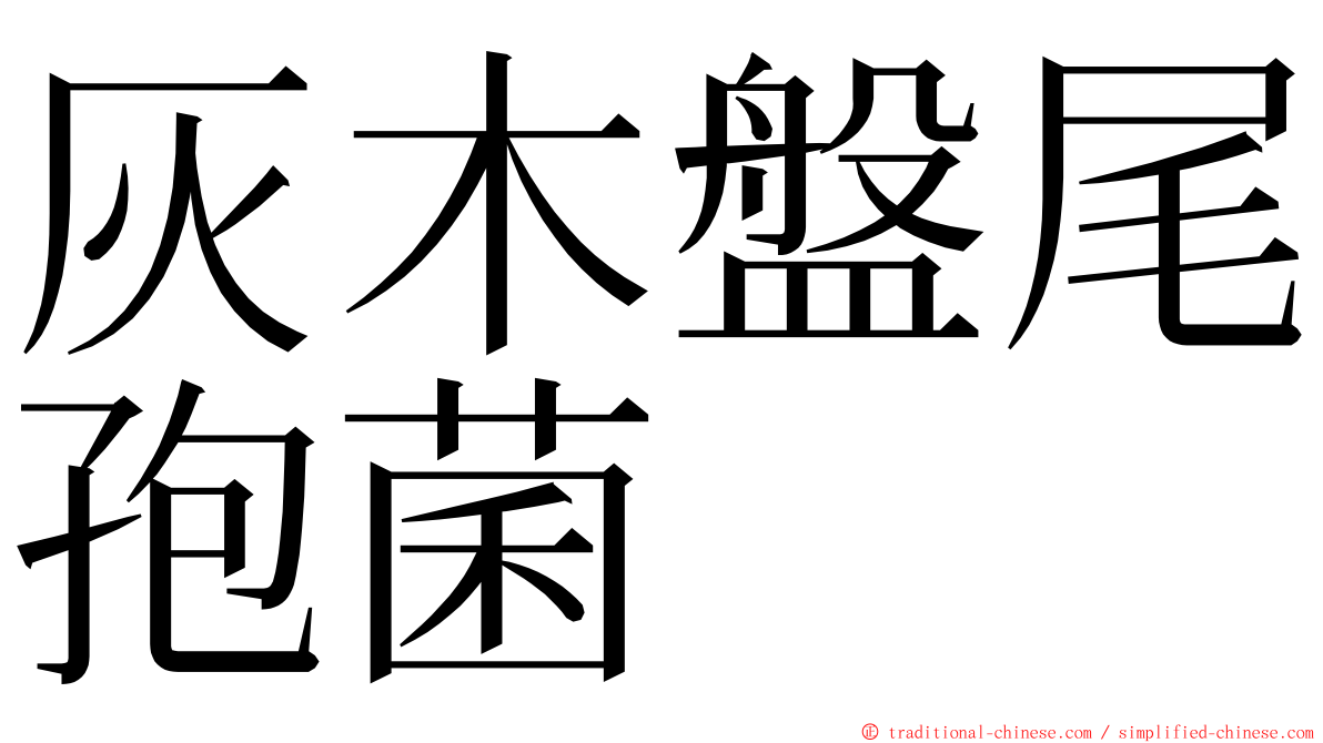 灰木盤尾孢菌 ming font