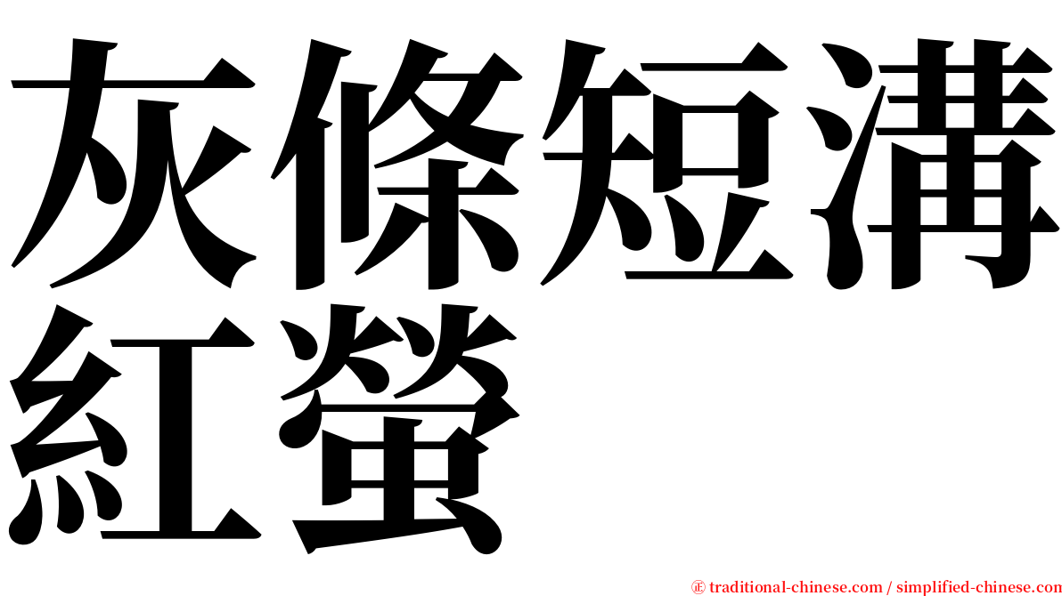 灰條短溝紅螢 serif font