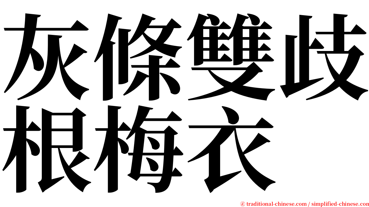 灰條雙歧根梅衣 serif font