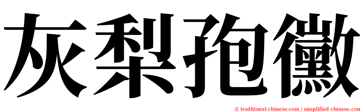 灰梨孢黴 serif font