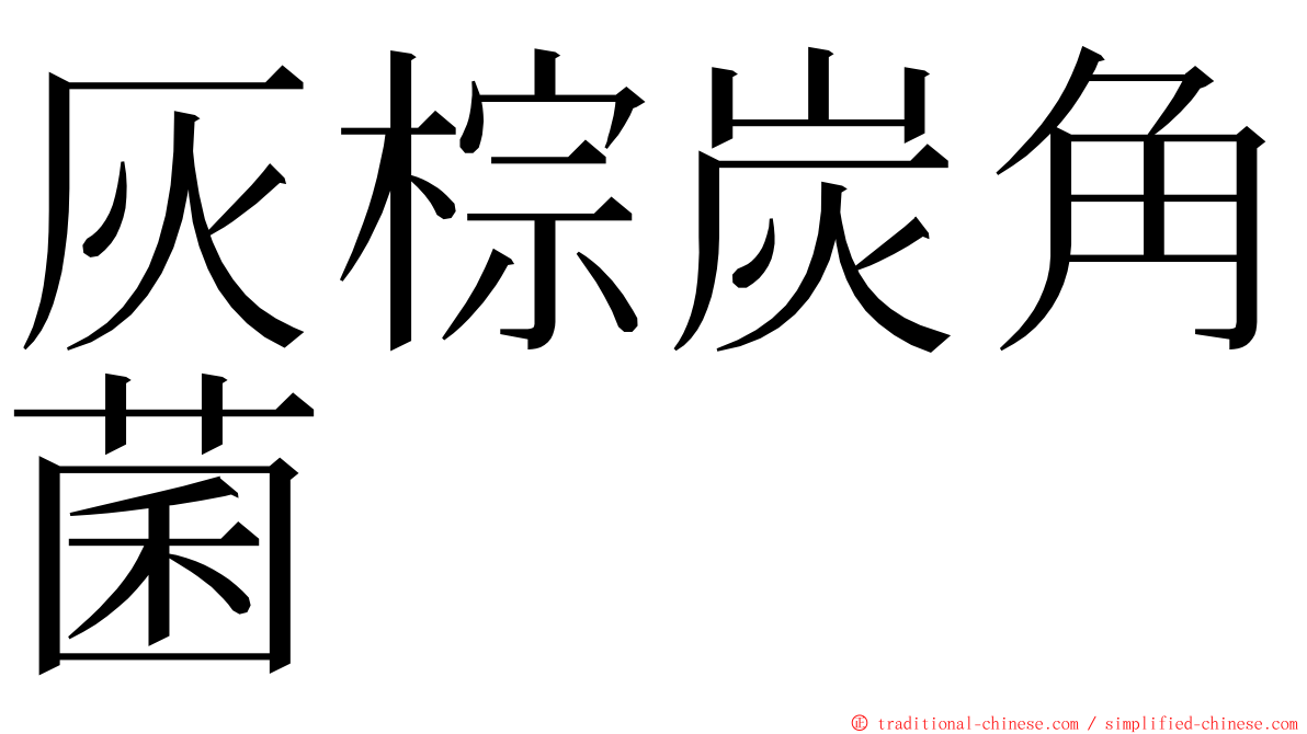 灰棕炭角菌 ming font