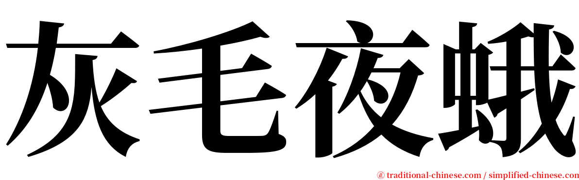 灰毛夜蛾 serif font