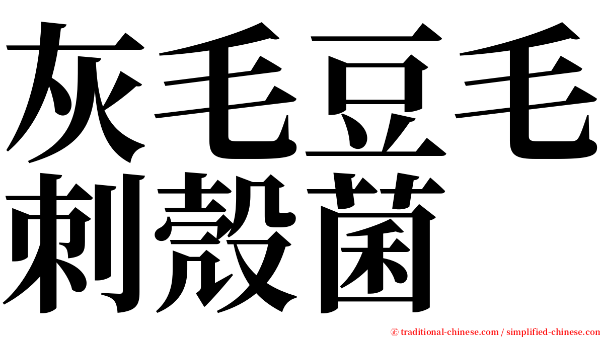 灰毛豆毛刺殼菌 serif font