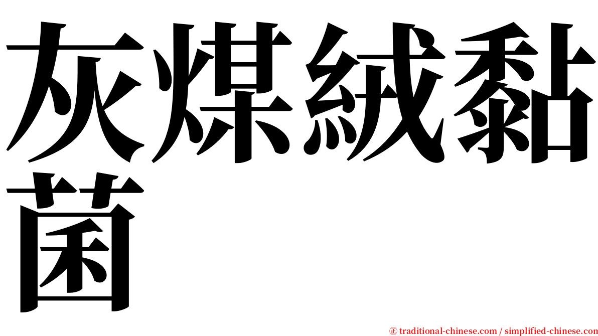 灰煤絨黏菌 serif font