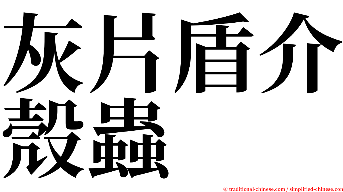 灰片盾介殼蟲 serif font