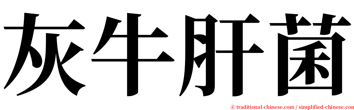 灰牛肝菌 serif font