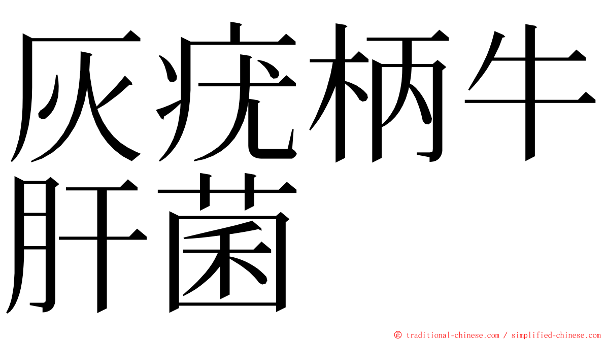 灰疣柄牛肝菌 ming font