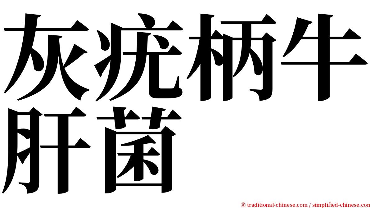 灰疣柄牛肝菌 serif font