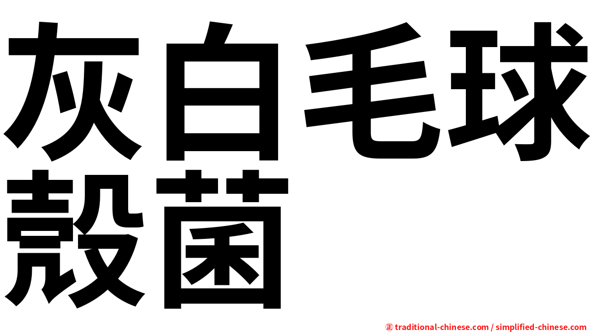 灰白毛球殼菌