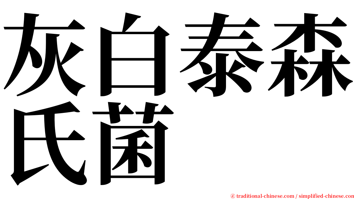 灰白泰森氏菌 serif font