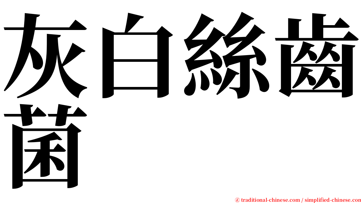 灰白絲齒菌 serif font