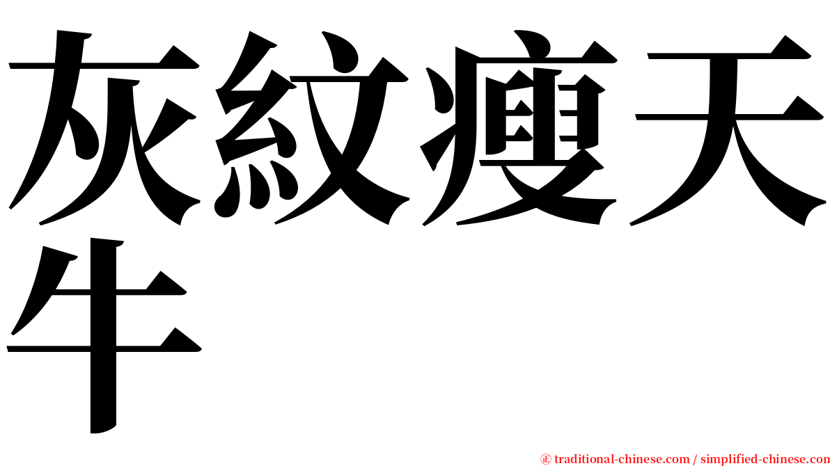 灰紋瘦天牛 serif font