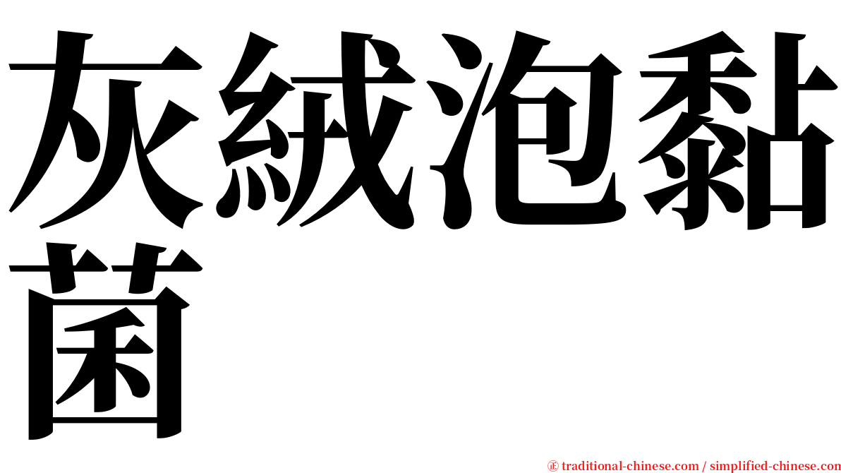 灰絨泡黏菌 serif font