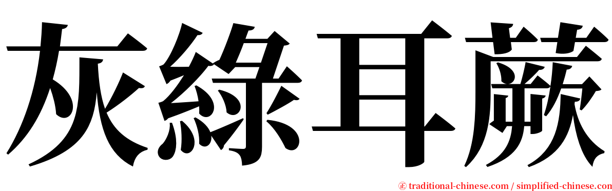 灰綠耳蕨 serif font