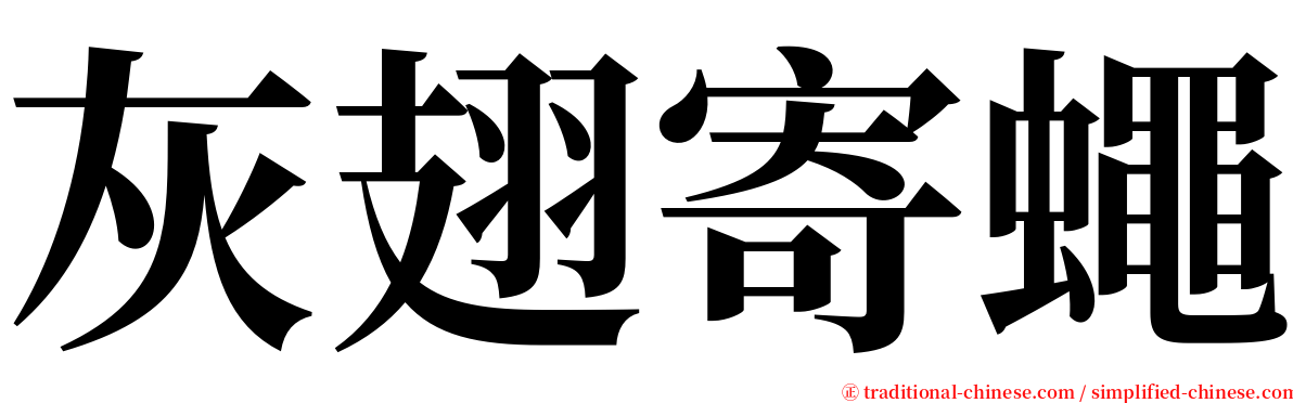 灰翅寄蠅 serif font