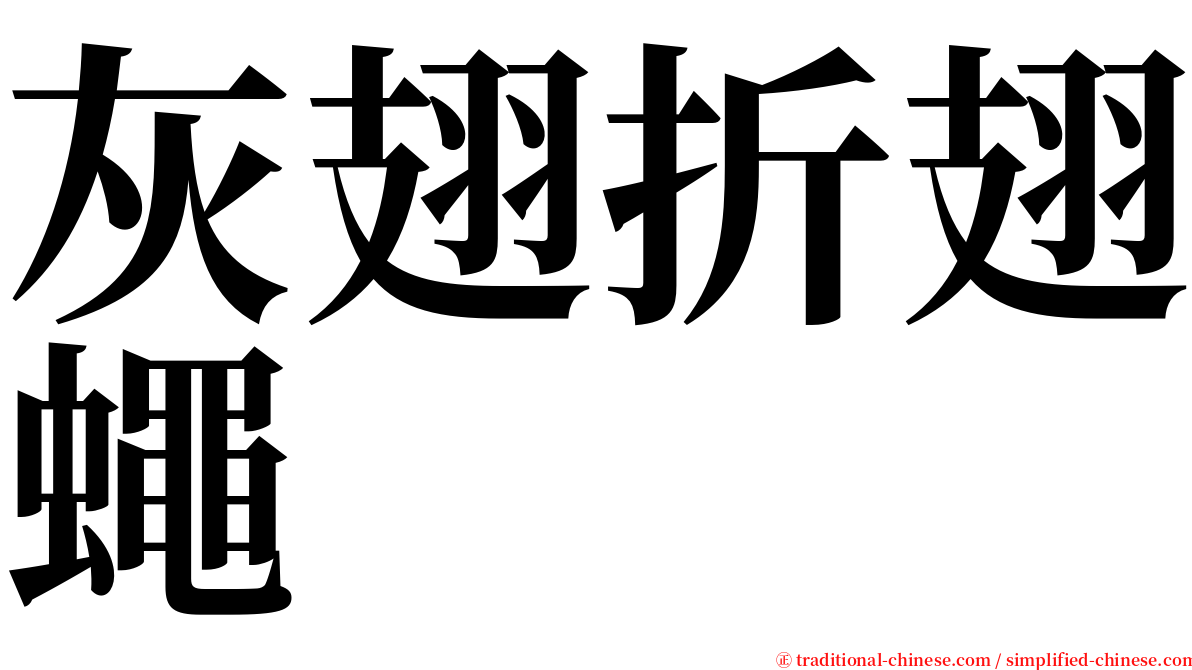 灰翅折翅蠅 serif font