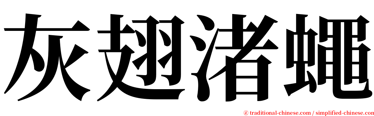 灰翅渚蠅 serif font