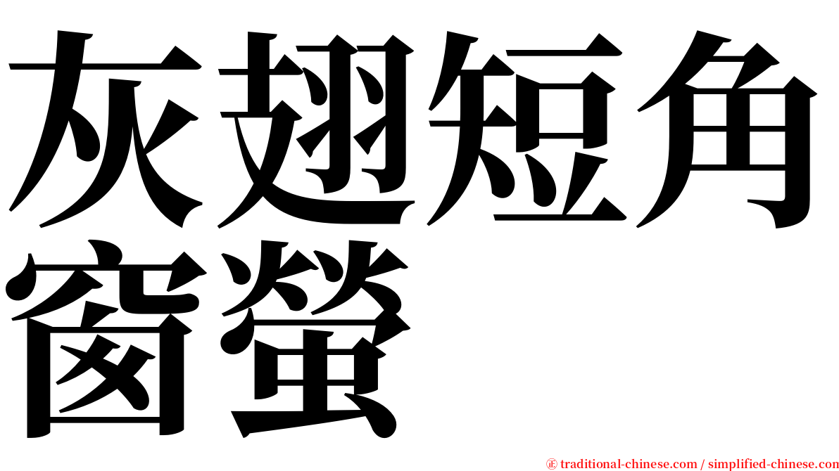 灰翅短角窗螢 serif font